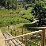 In Peacefull Surroundings *