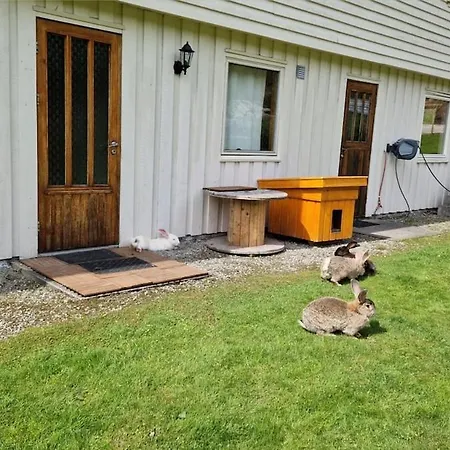 Daire In Peacefull Surroundings *