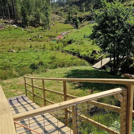 In Peacefull Surroundings *