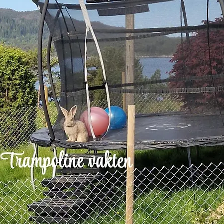 In Peacefull Surroundings Daire