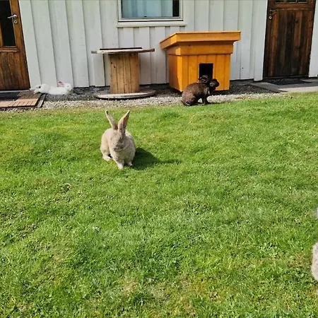 Daire In Peacefull Surroundings